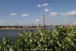 Duesseldorf Altstadt Rheinpromenade2 039