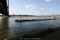 Duesseldorf Altstadt Rheinpromenade2 049
