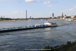 Duesseldorf Altstadt Rheinpromenade2 050