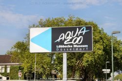 Duesseldorf Aquazoo 001