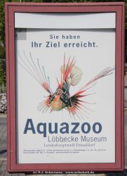 Duesseldorf Aquazoo 002