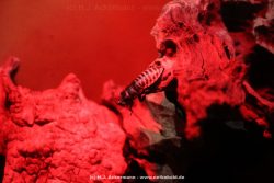 Duesseldorf Aquazoo 018