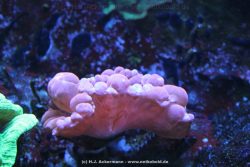Duesseldorf Aquazoo 153