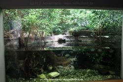 Duesseldorf Aquazoo 159