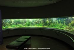 Duesseldorf Aquazoo 199
