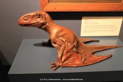 Duesseldorf Aquazoo 232