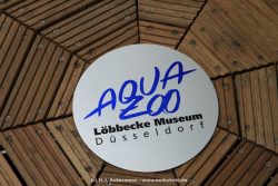 Duesseldorf Aquazoo 235