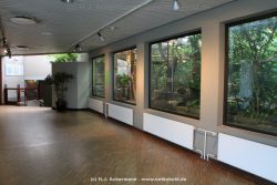 Duesseldorf Aquazoo 251