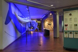 Duesseldorf Aquazoo 252