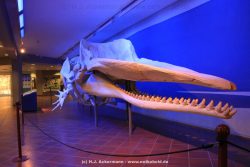 Duesseldorf Aquazoo 255
