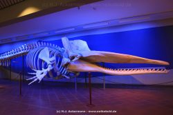 Duesseldorf Aquazoo 269