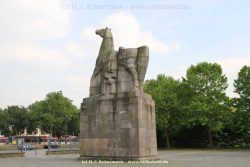 Duesseldorf Aquazoo 278