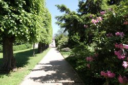 Duesseldorf Schloss Benrath 038