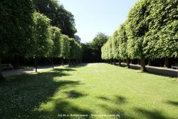 Duesseldorf Schloss Benrath 044