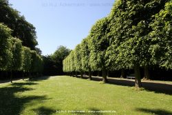 Duesseldorf Schloss Benrath 045
