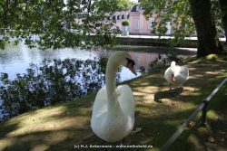 Duesseldorf Schloss Benrath Tiere 046