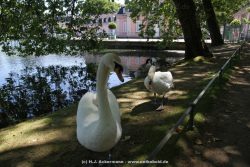 Duesseldorf Schloss Benrath Tiere 047