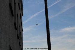hamm-historische-innenstadt-112