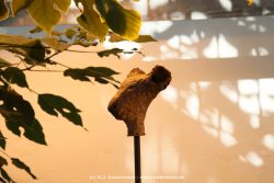 hamm-maxipark-glaselefant-039