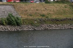 neuss-hafen-058