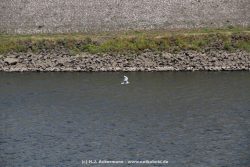 neuss-hafen-061