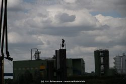 neuss-hafen-092