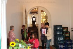 velbert-langenberg-kirche-sommerfest-026