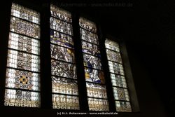 velbert-mitte-christuskirche-fenster-032
