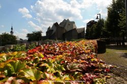 velbert-neviges-mariendom-005