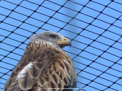 zoo-bochum