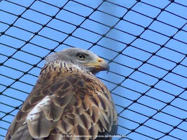 zoo-bochum